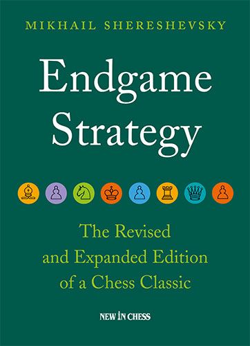 Strategia nel Finale - M. Shereshevsky