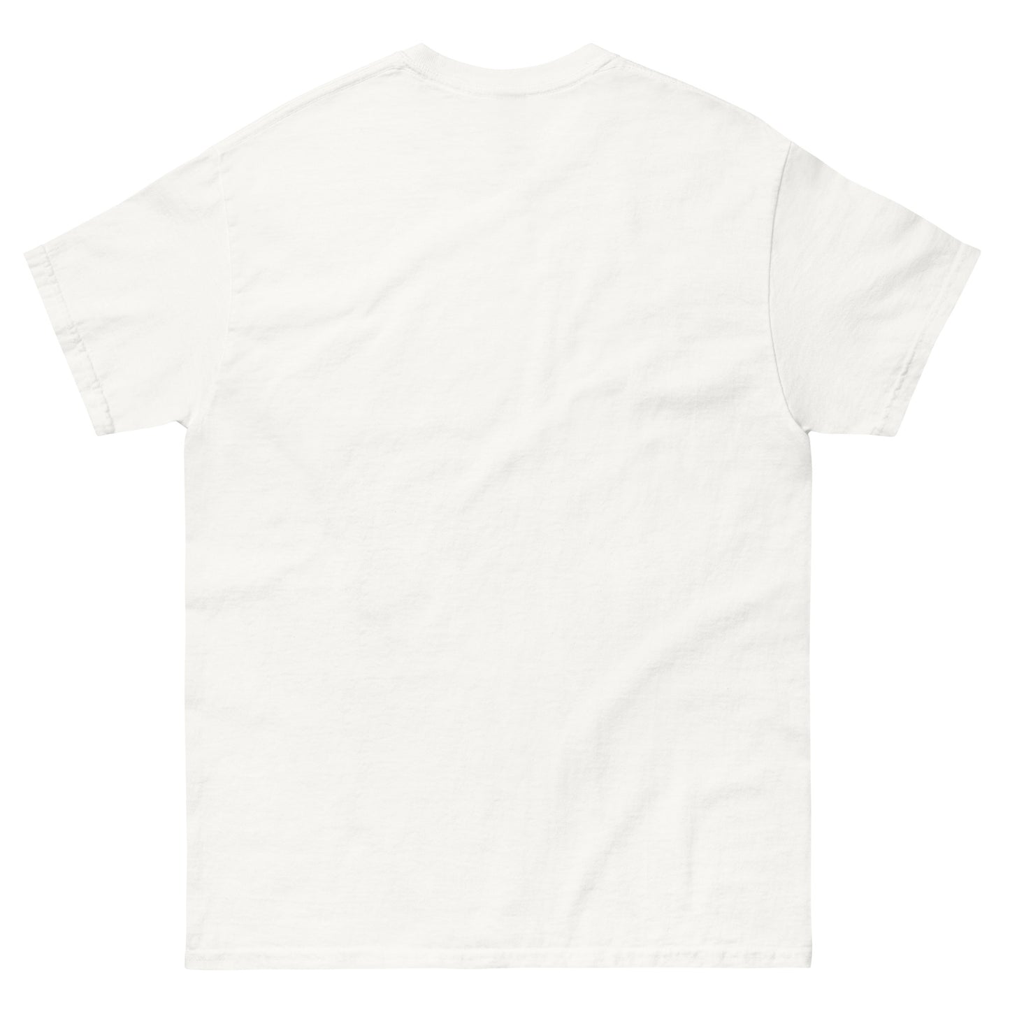 T-shirt classica unisex
